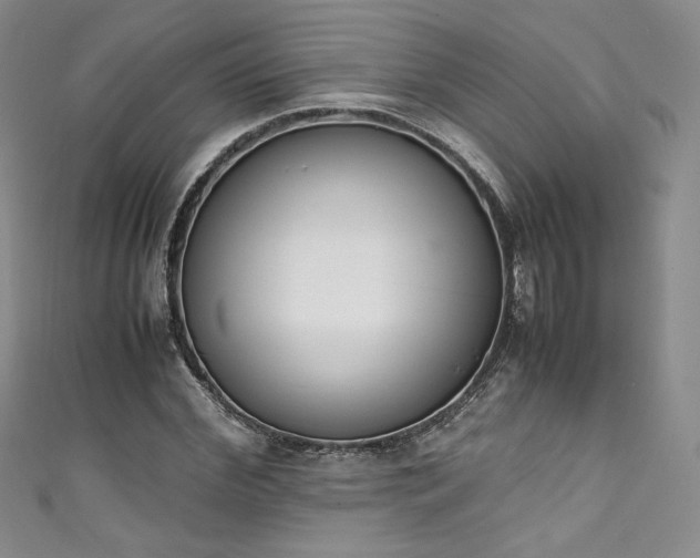 X0000111140972200906301227