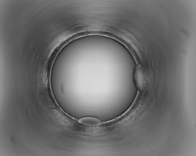 X0000111140973200906301227