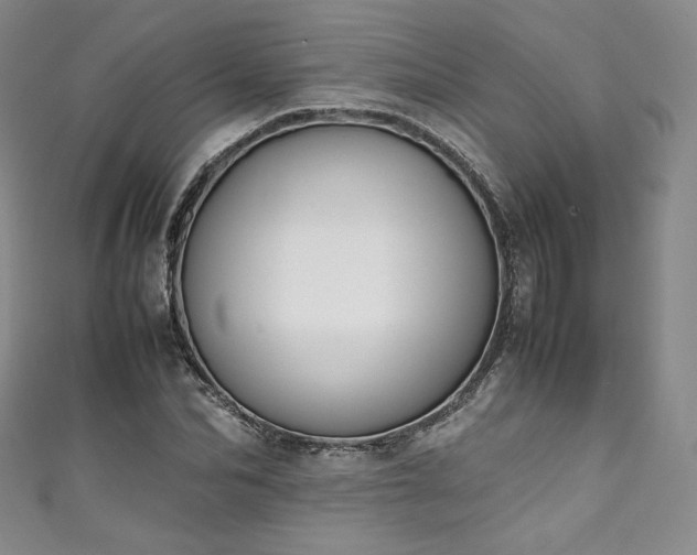 X0000111140974200906301227