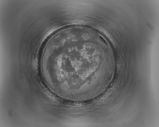 X0000111140975200906301227
