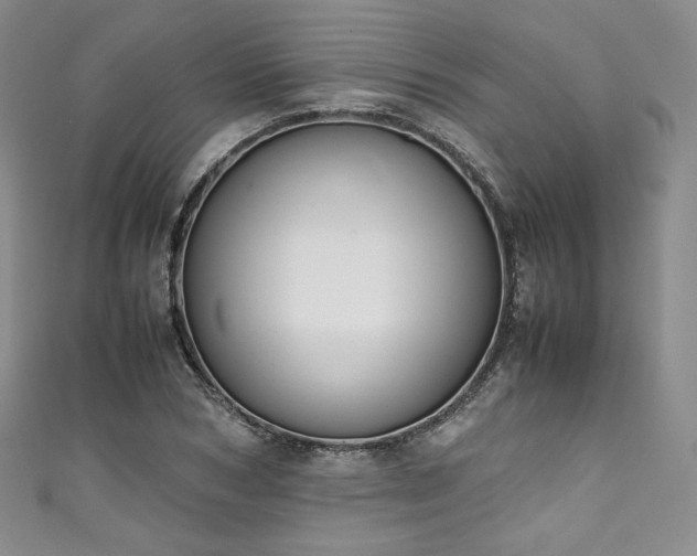 X0000111140978200906301227