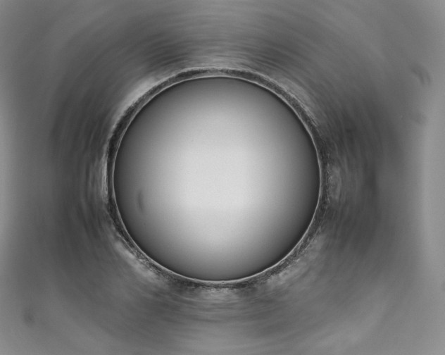 X0000111140982200906301227