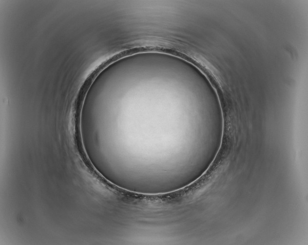 X0000111140983200906301227