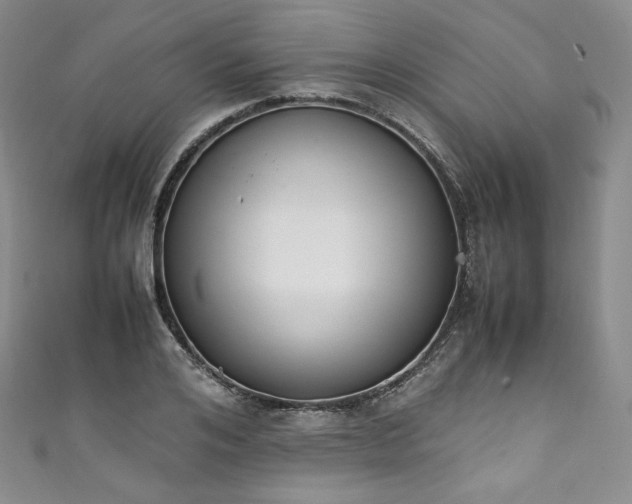 X0000111140984200906301227