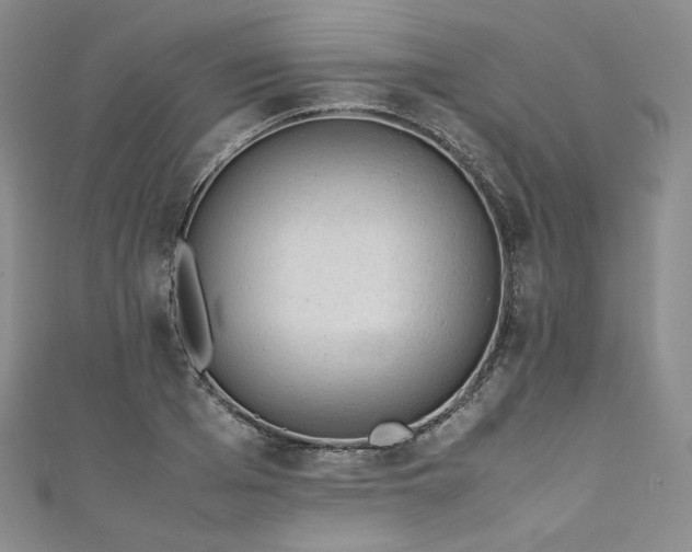 X0000111140985200906301227