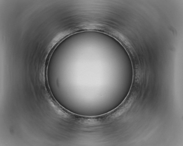 X0000111140986200906301227