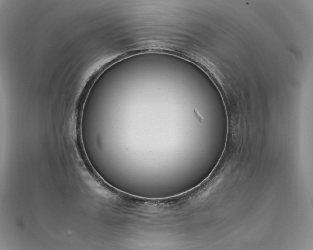 X0000111140987200906301227