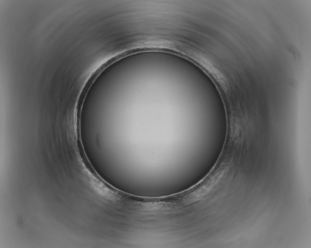 X0000111140988200906301227