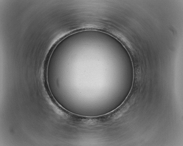 X0000111140991200906301226