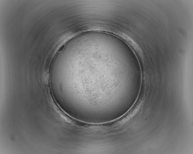 X0000111140993200906301226