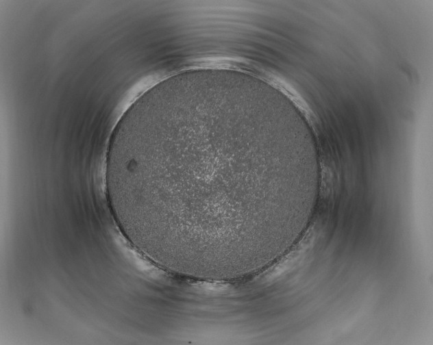 X0000111140994200906301226