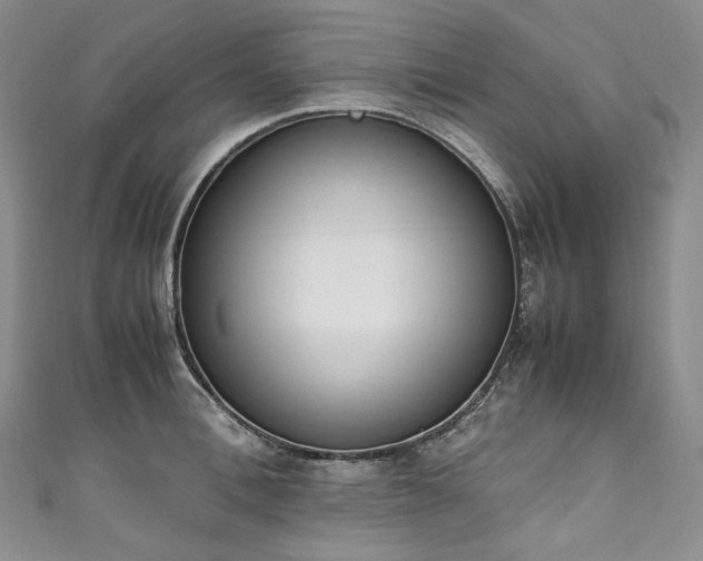 X0000111140996200906301226