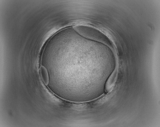 X0000111140997200906301226