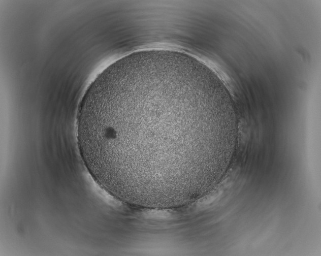 X0000111140998200906301226