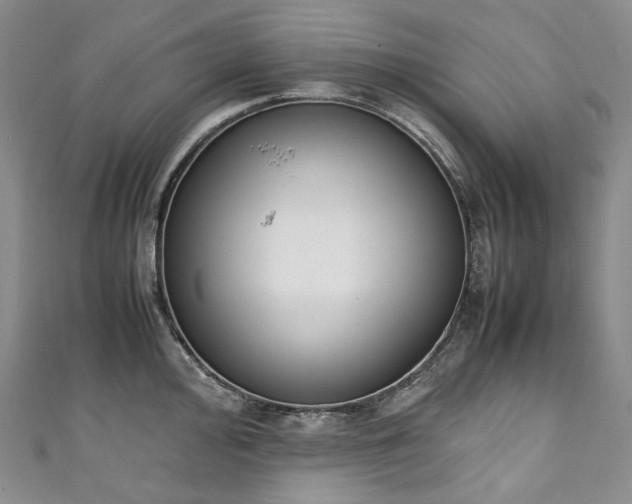 X0000111141000200906301226