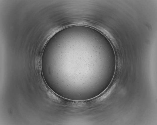X0000111141001200906301226