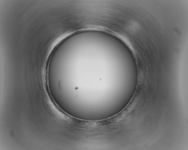 X0000111141003200906301226