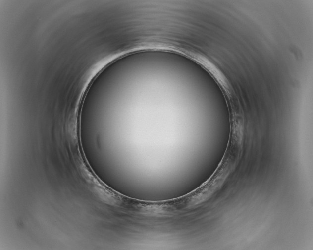 X0000111141004200906301226