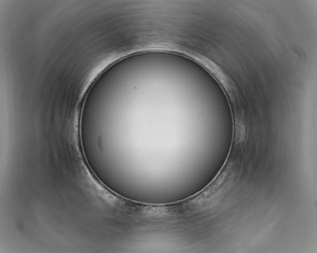 X0000111141006200906301226