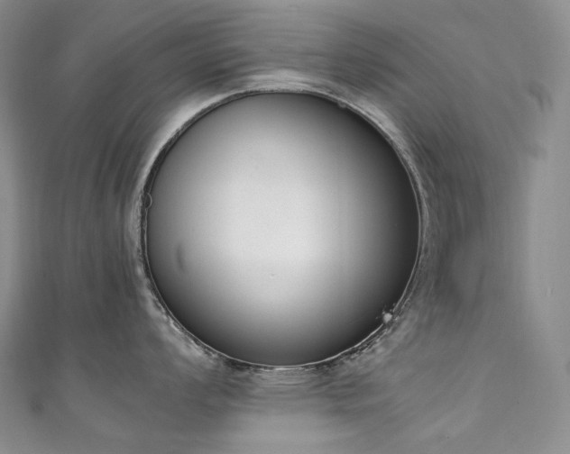 X0000111141008200906301226