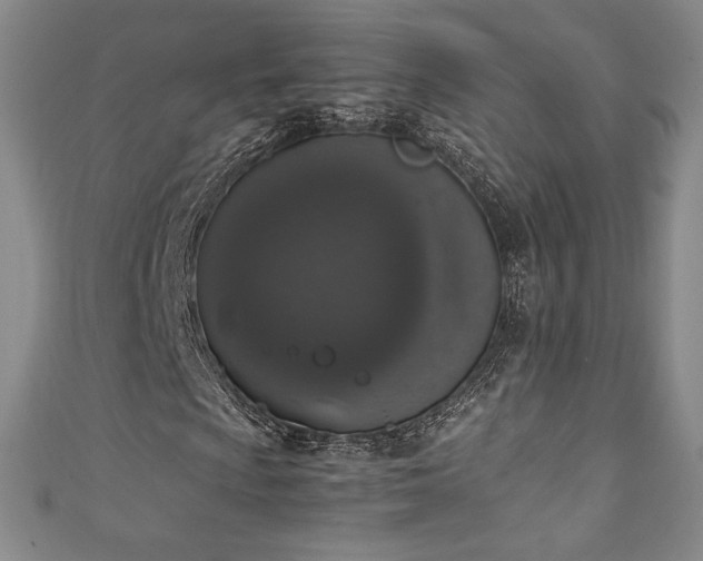 X0000111141009200906301226