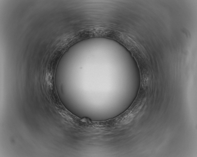X0000111141010200906301226