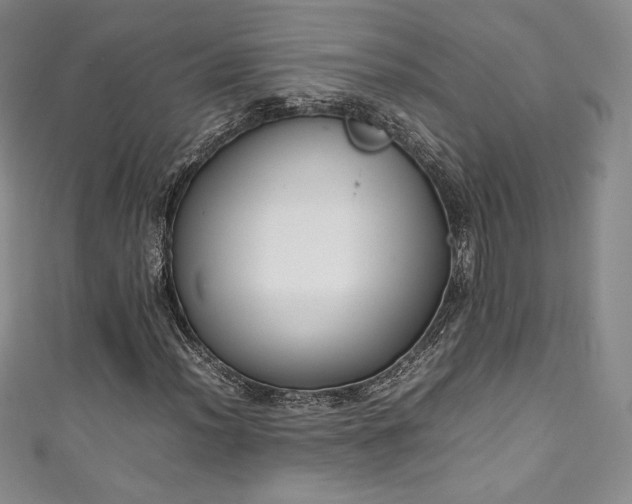 X0000111141012200906301226