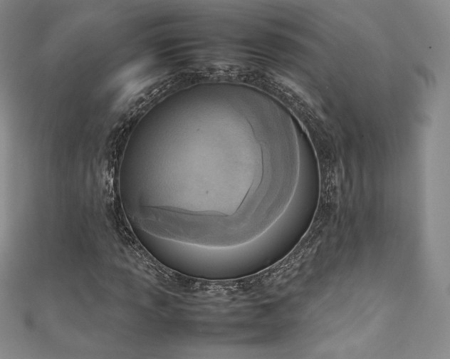 X0000111141013200906301226