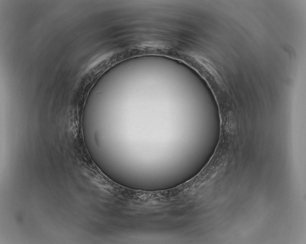 X0000111141015200906301226