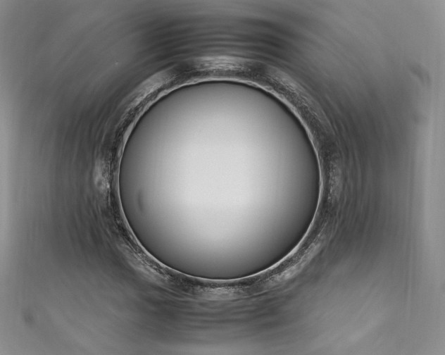 X0000111141017200906301226