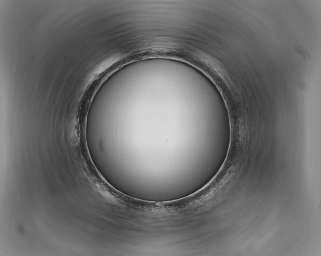 X0000111141018200906301226
