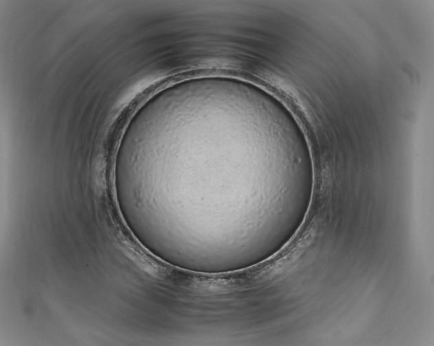 X0000111141019200906301226