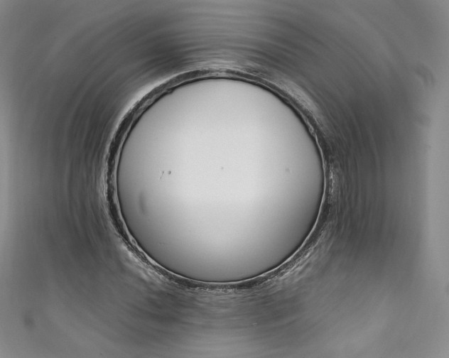 X0000111141020200906301226