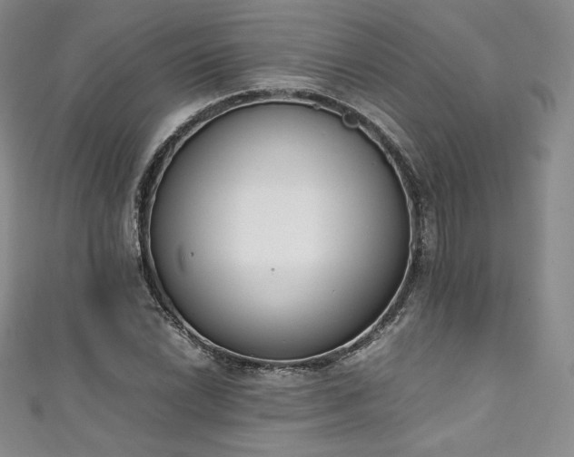 X0000111141022200906301226