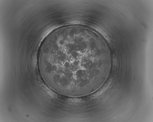 X0000111141023200906301226