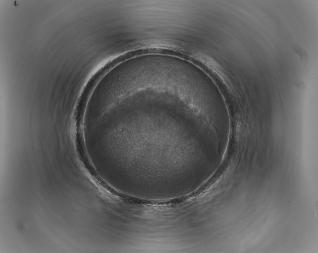 X0000111141024200906301226
