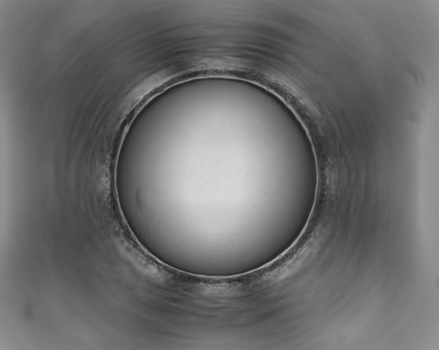 X0000111141025200906301226