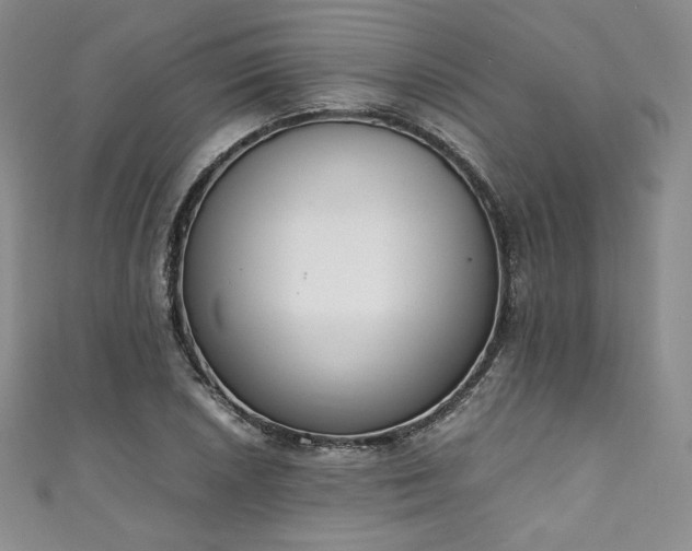X0000111141026200906301226