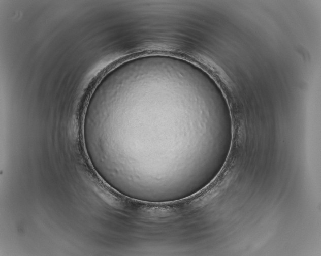 X0000111141027200906301226