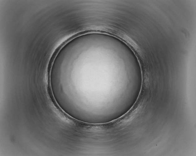 X0000111141028200906301226