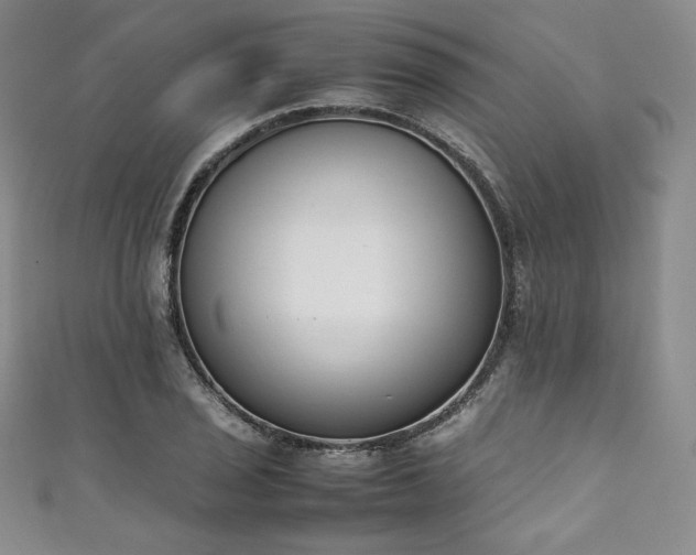 X0000111141029200906301226
