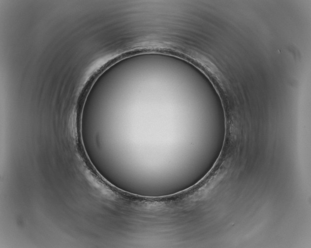 X0000111141030200906301226
