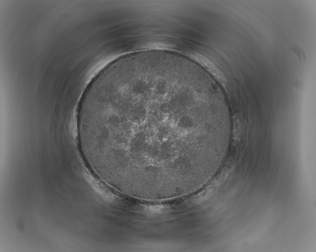 X0000111141031200906301226