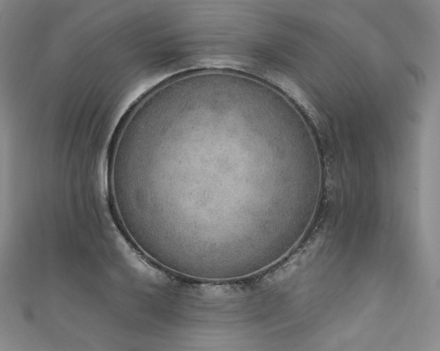 X0000111141032200906301226