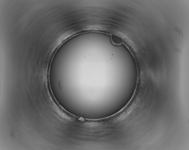 X0000111141033200906301226
