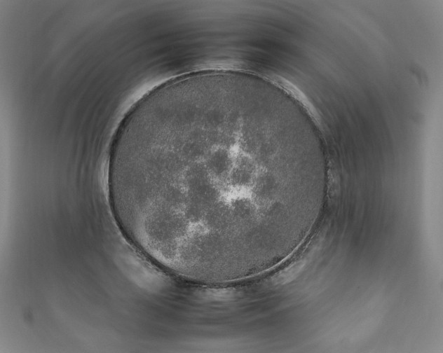 X0000111141035200906301226