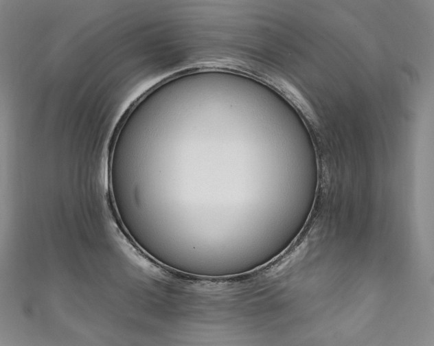 X0000111141036200906301226