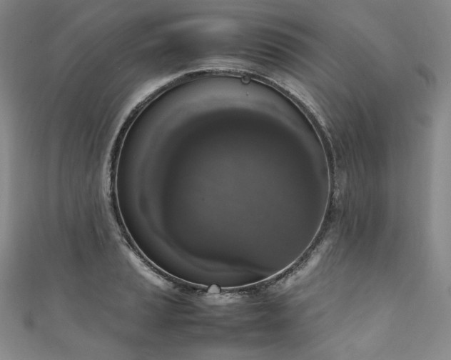 X0000111141037200906301226
