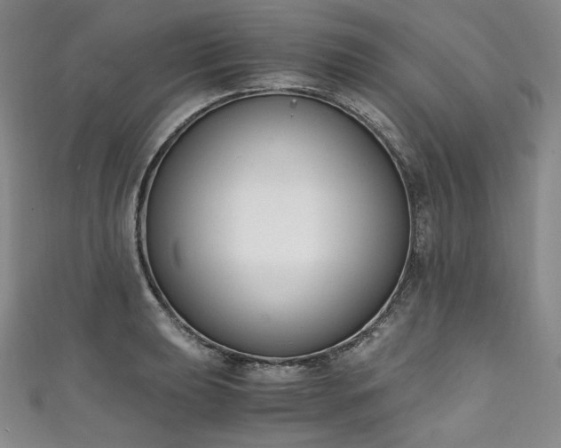 X0000111141039200906301226