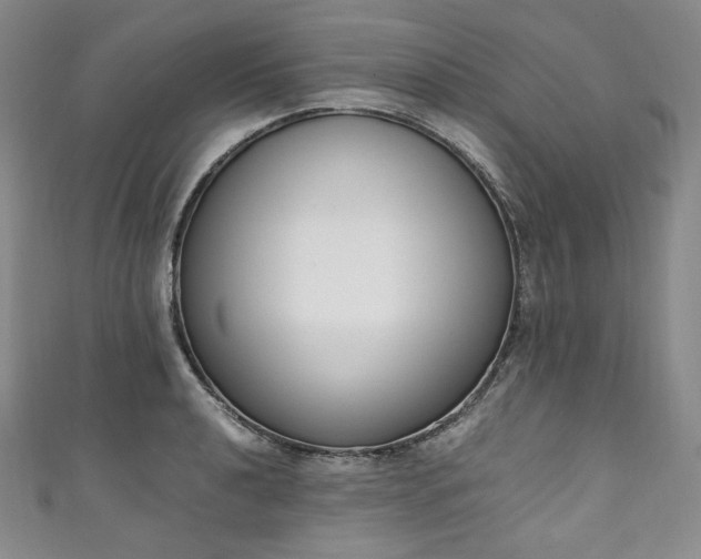 X0000111141040200906301226